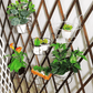 New Hanging Baskets Flower Pot Stand Thicker and Sturdier