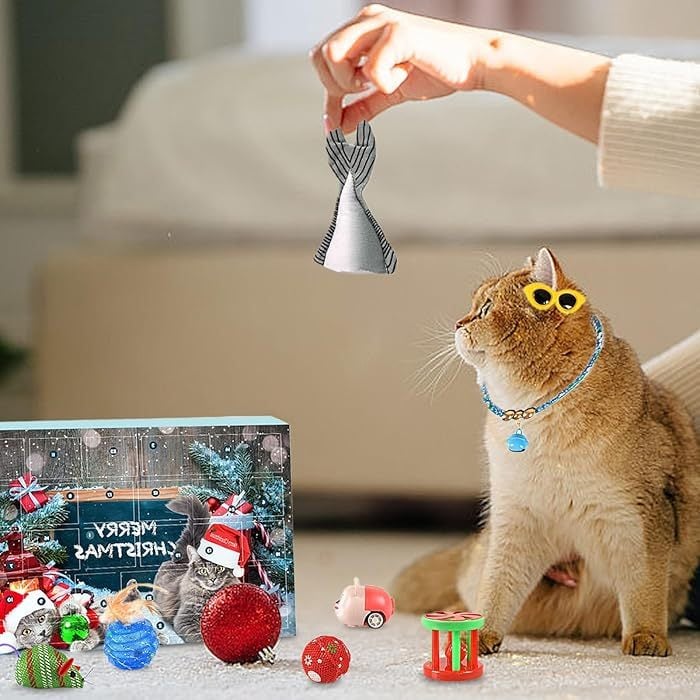 🎄🎁Christmas Countdown Cat & Dog Toys Advent Calendar🐾🥳